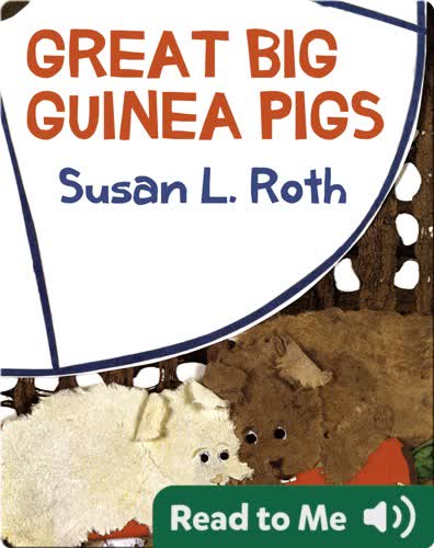 Great Big Guinea Pigs