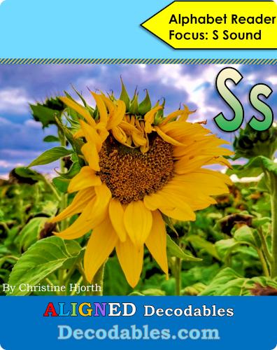 Ss Book