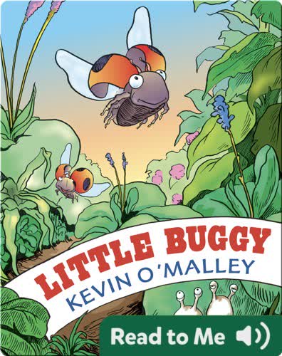Little Buggy