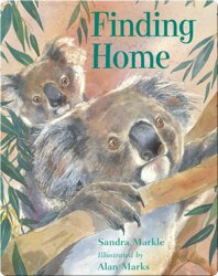 Finding Home