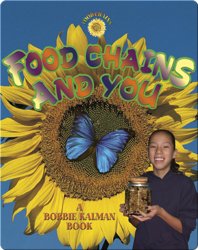 Food Chains and You