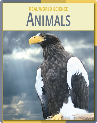 Real World Science: Animals