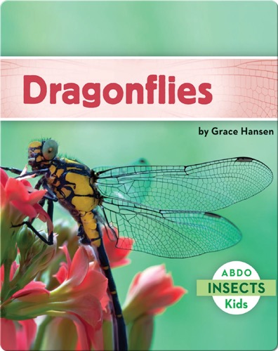 Dragonflies