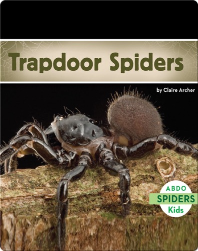 Trapdoor Spiders