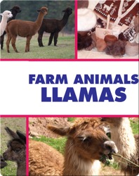 Farm Animals: Llamas