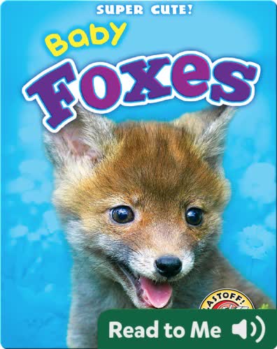 Super Cute! Baby Foxes