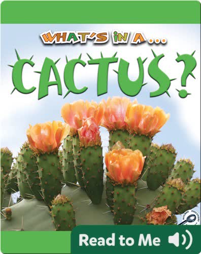 What's In A... Cactus?