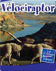 Velociraptor
