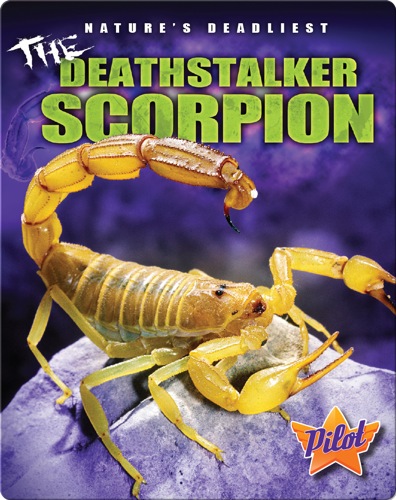 The Deathstalker Scorpion
