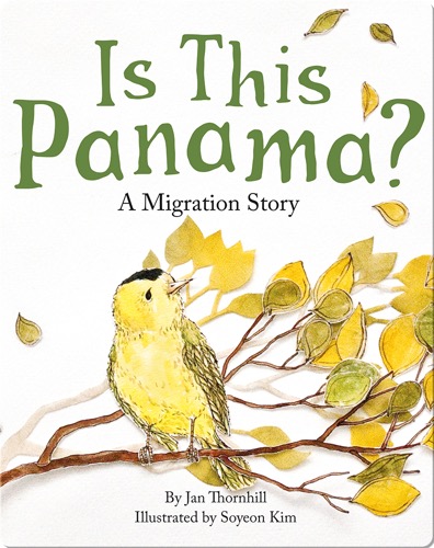 Is This Panama?