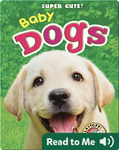 Super Cute! Baby Dogs