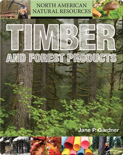 Timber and Forest Products
