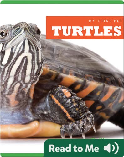 My First Pet: Turtles