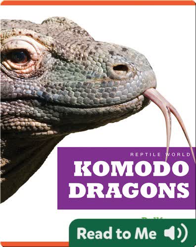 Reptile World: Komodo Dragons