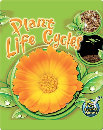 Plant Life Cycles