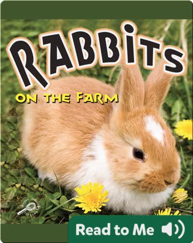 Rabbits On The Farm
