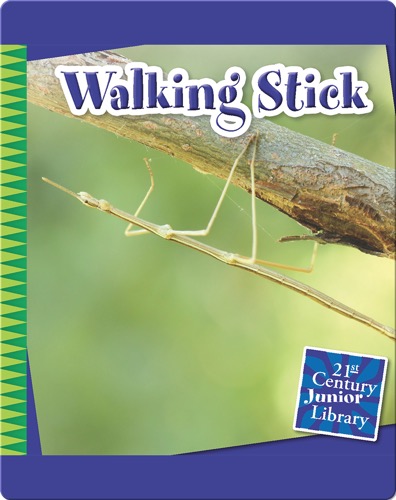 Walking Stick