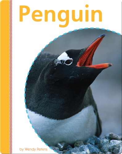 Penguin