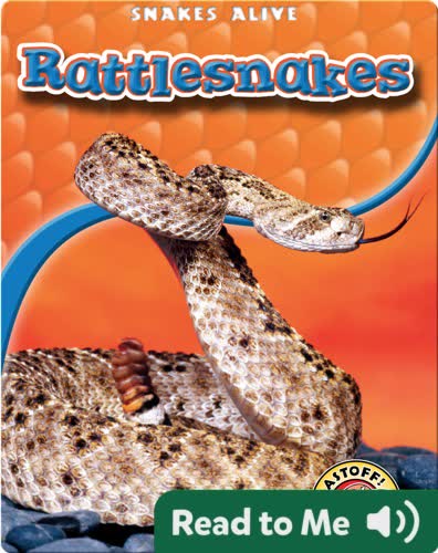 Rattlesnakes