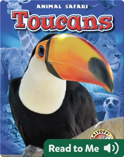 Toucans