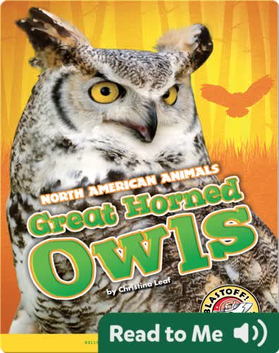 Great-horned Owls