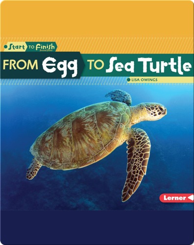 From Egg to Sea Turtle