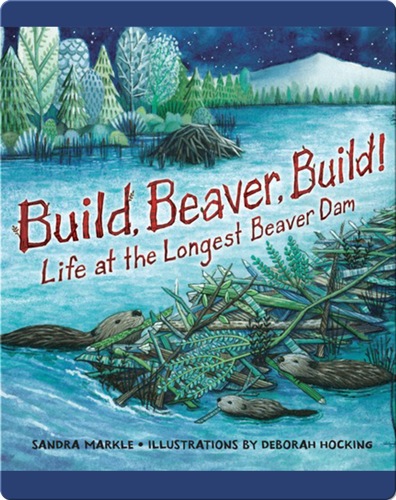 Build, Beaver, Build!: Life at the Longest Beaver Dam