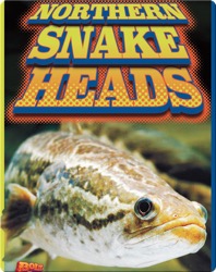 Northern Snakeheads