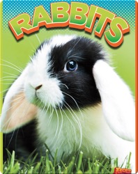 Rabbits