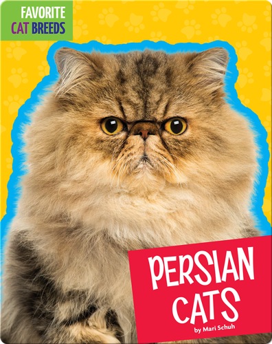 Persian Cats