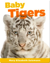 Baby Tigers