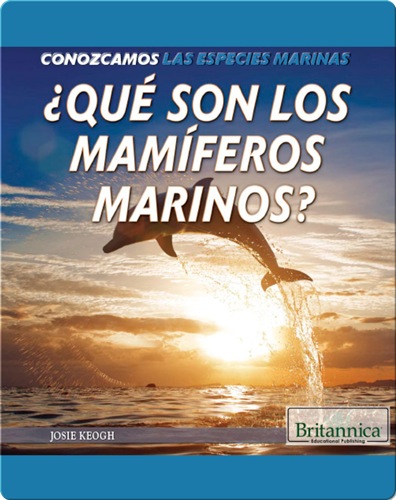 ¿Qué son los mamíferos marinos?