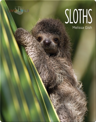 Sloths