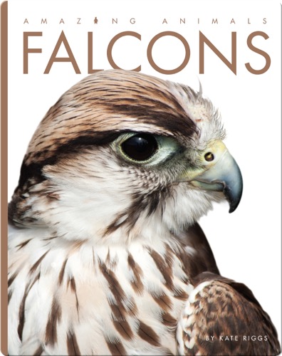 Falcons