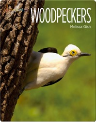 Woodpeckers