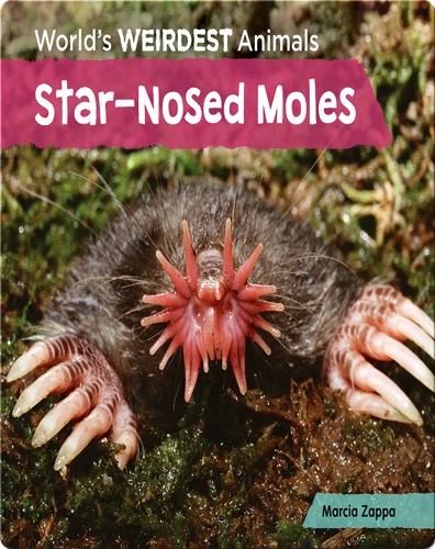 Star-Nosed Moles