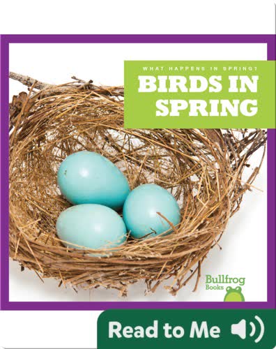 What Happens In Spring? Birds In Spring