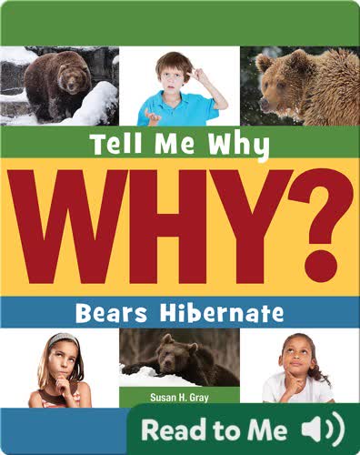 Bears Hibernate