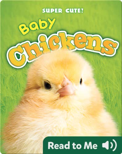 Super Cute! Baby Chickens