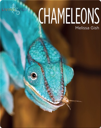 Chameleons
