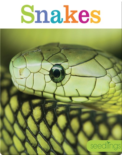 Snakes