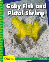 Goby Fish and Pistol Shrimp