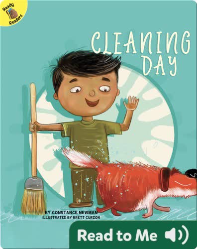 Cleaning Day