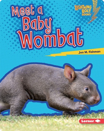 Meet a Baby Wombat