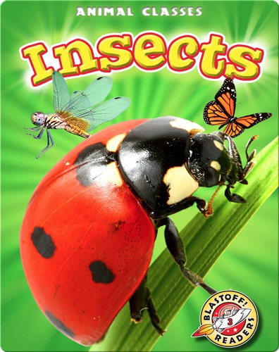 Animal Classes: Insects