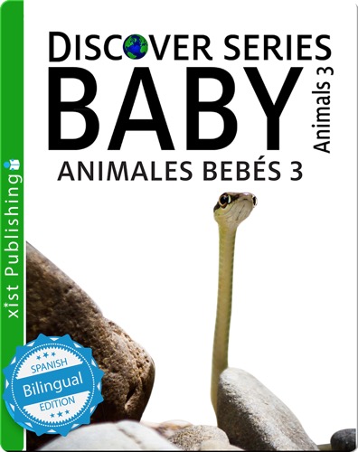 Animales Bebés 3/ Baby Animals 3