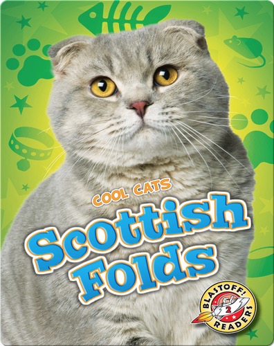 Scottish Folds