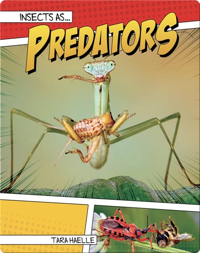 Insects as Predators
