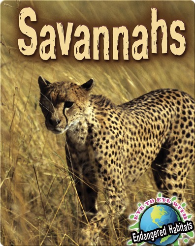 Savannahs