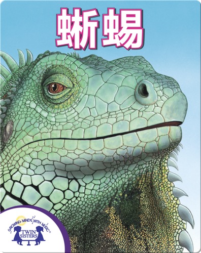 蜥蜴 !